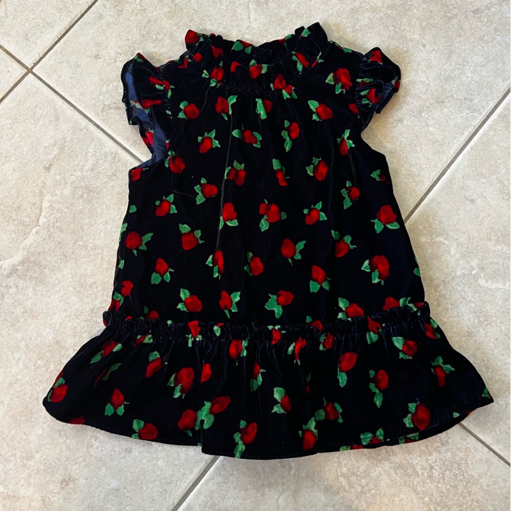 Janie and Jack Velvet Dress with Red and Green Floral Accents - Picture 3 of 6